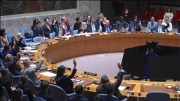 Germany calls for UN Security Council Resolution to provide legal basis for Gaza peace plan