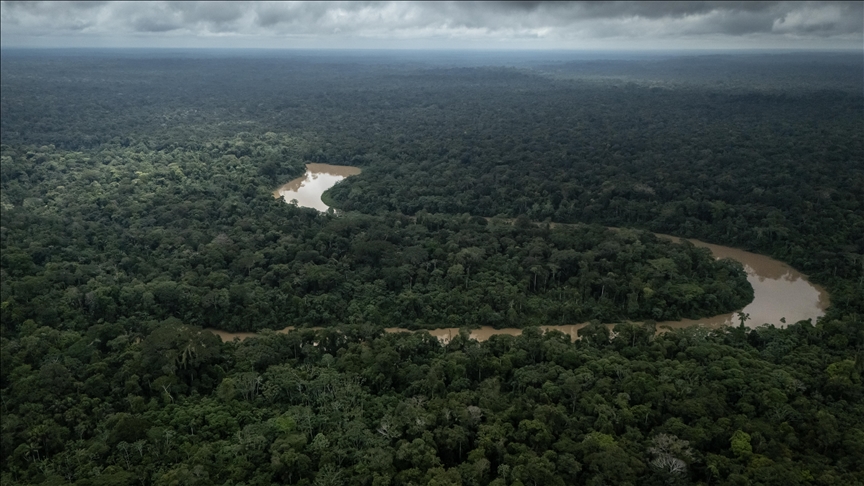 Amazon fires hit record levels, surpassing deforestation as top source of carbon emissions