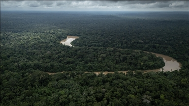 Amazon fires hit record levels, surpassing deforestation as top source of carbon emissions