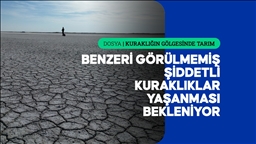 İklim değişikliği şehirlerin "Sıfır Günü Kuraklığı" riskini artırıyor