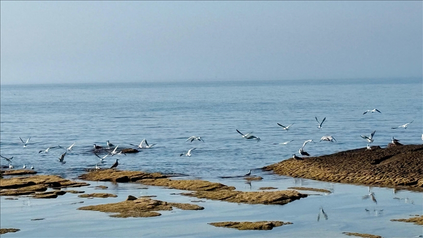 Caspian Sea faces alarming decline in water levels and biodiversity