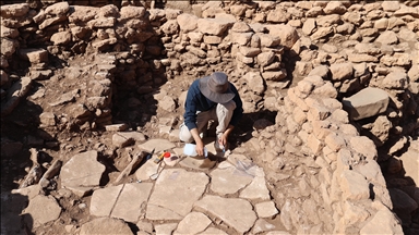 Karahantepe kazılarında Neolitik Çağ'daki beslenme alışkanlıkları araştırılıyor