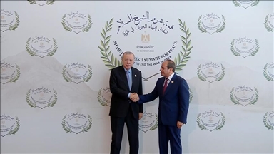 أردوغان يصل مصر للمشاركة في قمة شرم الشيخ للسلام