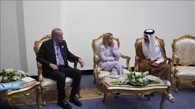 الرئيس أردوغان يلتقي أمير قطر في شرم الشيخ