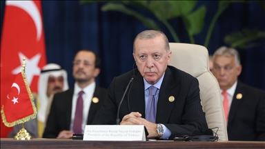 Turkish president attends Sharm el-Sheikh Peace Summit on Gaza ceasefire agreement
