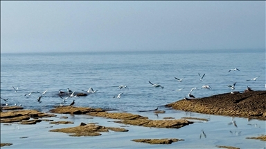 Caspian Sea faces alarming decline in water levels and biodiversity