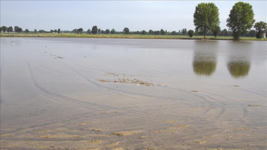 Ireland’s rivers, lakes ‘struggling’ as water quality continues to decline