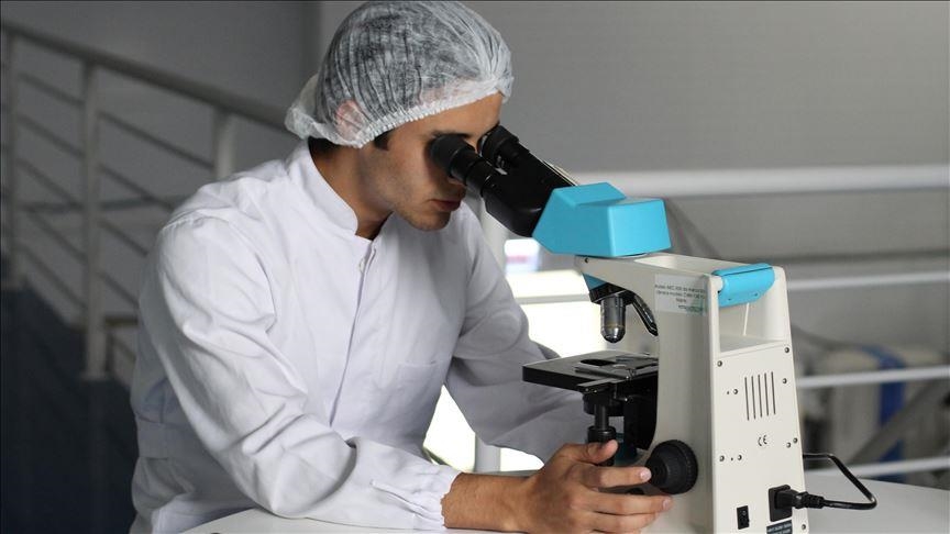 Lab-grown embryo model produces human blood cells in scientific breakthrough