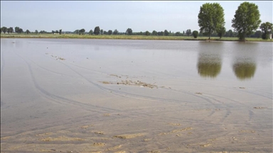 Ireland’s rivers, lakes ‘struggling’ as water quality continues to decline