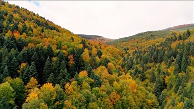 Alaçama navçeya Samsunê bi rengên payîzê xemilî