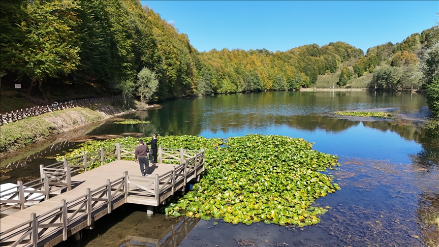 Ordu'daki Ulugöl Tabiat Parkı 9 ayda 220 bin ziyaretçiyi ağırladı