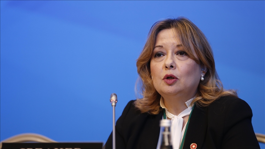 Turkish envoy urges UNESCO to show consistency over killings of journalists in Gaza