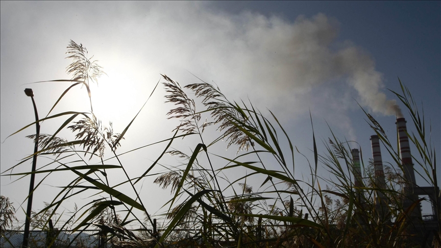 Carbon dioxide levels rise by record amount in 2024: UN weather agency 