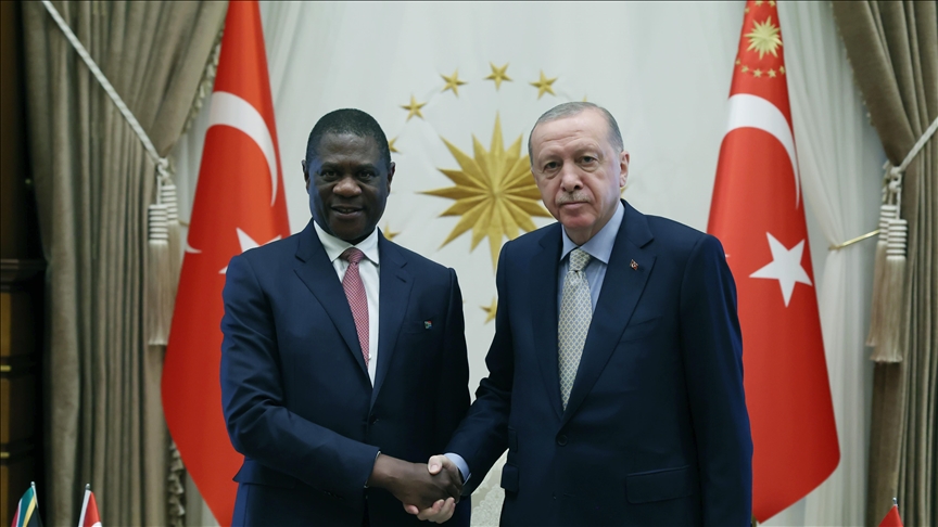 Turkish president meets South African deputy president in Ankara