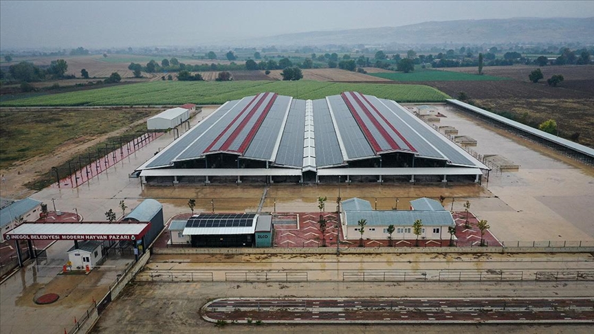 Çatılara kurdukları güneş panelleriyle belediyenin elektrik ihtiyacını karşılıyorlar