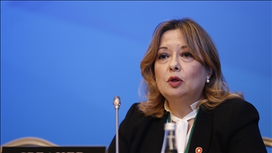 Turkish envoy urges UNESCO to show consistency over killings of journalists in Gaza
