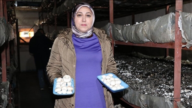 Kadın girişimci devlet desteğiyle kurduğu tesiste 75 ton mantar üretiyor