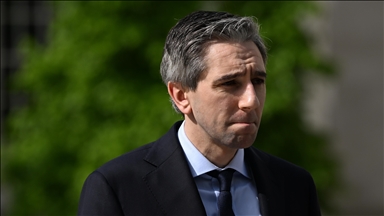 Motion of confidence in Irish foreign minister passes parliament
