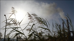 Carbon dioxide levels rise by record amount in 2024: UN weather agency 