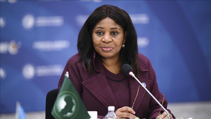 Африканский союз нацелен на сотрудничество с Турцией