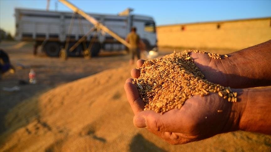 İklim değişikliğinin tarım-gıda zincirine olumsuz etkileri sürecek