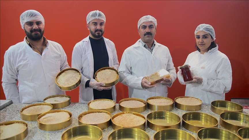 Bi piştgiriya dewletê tesîsa hingiv ava kir, ji bo 20 kesî derfeta kar çêbû