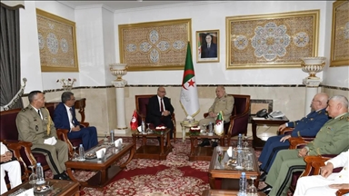 التعاون الدفاعي بين تونس والجزائر.. "آفاق" جديدة لمواجهة "المخاطر"