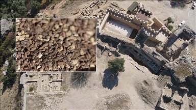 Beçin Antik Kenti'ndeki kazılarda 700 yıllık olduğu değerlendirilen darı tohumları bulundu