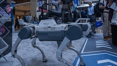 AI-powered robot dogs steal spotlight at Dubai’s GITEX Global tech fair