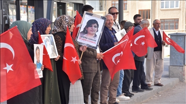 Malbatên Wanî çalakiya xwe ya li ber Serokatiya DEM Partiyê ya Parêzgehê domand