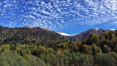 Artvin'deki Borçka Karagöl Tabiat Parkı sonbahar renklerine büründü