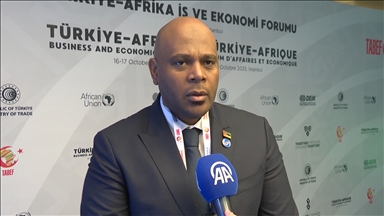 Afrika dijital dönüşümü şekillendirecek nadir metallerin yüzde 30'unu barındırıyor