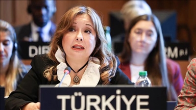 Büyükelçi Aybet, İsrail'in BM kararıyla kurulan UNRWA'yı yasaklamaya hakkı olmadığını belirtti