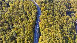 Bolu'da ormanlık alanlar sonbahar renklerine büründü