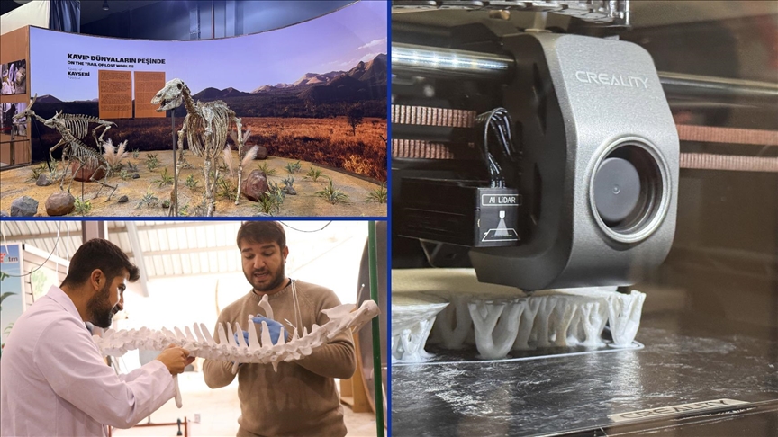 7,7 milyon yıllık hayvan fosillerinin eksik uzuvları 3D yazıcılarla tamamlanıyor