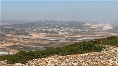 Illegal Israeli settler violently assaults elderly Palestinian woman in occupied West Bank