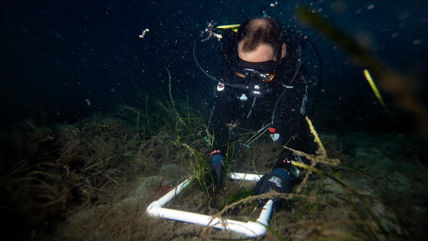 First 'climate tipping point' being crossed: Coral reefs in crisis, is there still a way back?