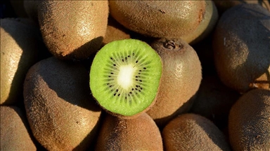 Kiwis might help ease chronic constipation: Study