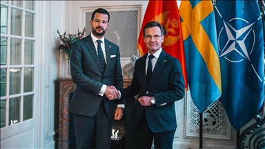 Milatović u Švedskoj: Snažna podrška crnogorskom članstvu u EU-u