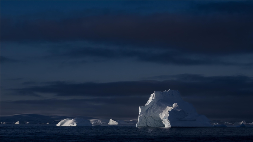 Melting Arctic ice could strengthen marine life: Study