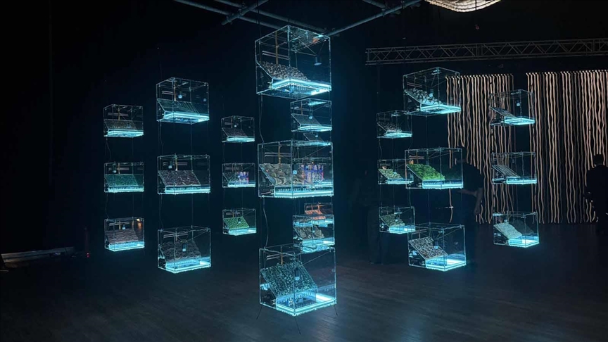Uluslararası medya sanatı festivali Ars Electronica, Zorlu PSM'de başladı
