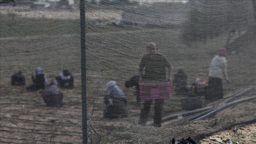 Palestine accuses Israel of destroying 90% of Gaza’s agricultural assets in 2 years