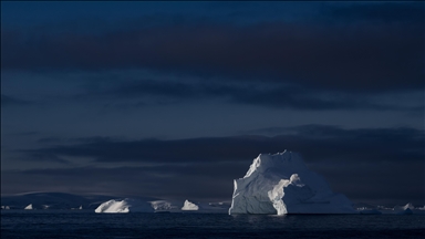 Melting Arctic ice could strengthen marine life: Study