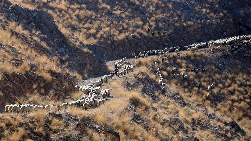 Li Bidlîsê koçeran bi çêbûna sermayê ra dest bi dagêrê kir