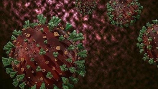 Pays-Bas : premier cas détecté d’une nouvelle variante du virus de la variole du singe