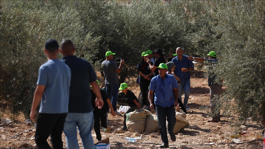 Israel deports 32 foreign activists for supporting Palestinian farmers against settler violence in West Bank