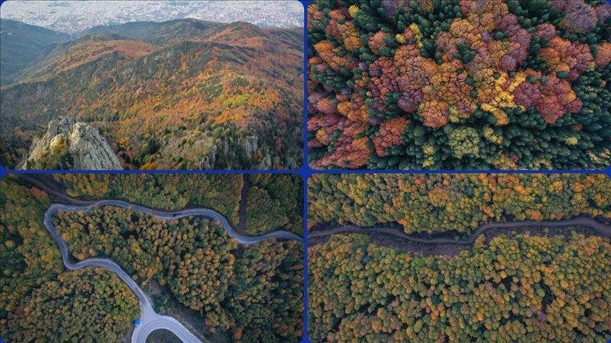 Uludağ'da sonbahar renkleri hakim oldu