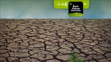 İklim krizinde israf ne kadar etkili?