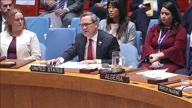 США призвали СовБез ООН поддержать усилия по смягчению санкций против Сирии