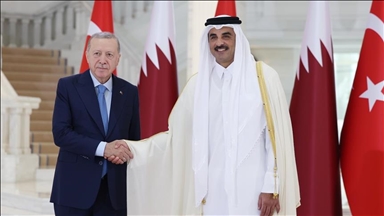 Erdogan i Al Thani razgovarali o jačanju saradnje Turske i Katara